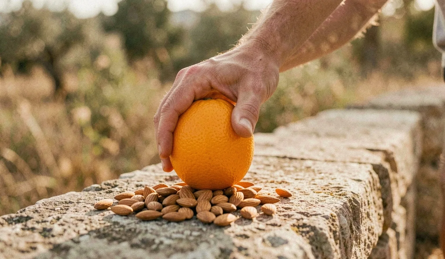 Ingredientes naturales para la energía deportiva